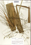 000044331-thumbnail.jpg