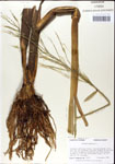 000044332-thumbnail.jpg