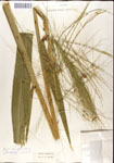 000044333-thumbnail.jpg