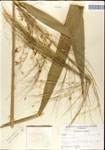 000044334-thumbnail.jpg