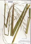 000044336-thumbnail.jpg