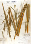 000044337-thumbnail.jpg