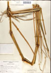 000044338-thumbnail.jpg