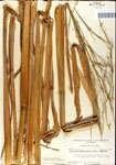 000044343-thumbnail.jpg