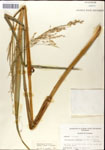 000044345-thumbnail.jpg