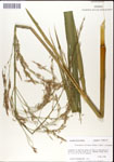 000044347-thumbnail.jpg