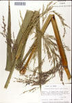 000044349-thumbnail.jpg