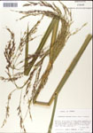 000044350-thumbnail.jpg