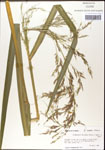 000044351-thumbnail.jpg