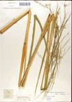 000044352-thumbnail.jpg