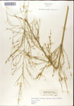 000044353-thumbnail.jpg