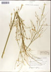 000044354-thumbnail.jpg