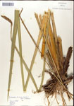 000044355-thumbnail.jpg