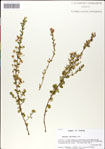 000044816-thumbnail.jpg