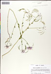 000047645-thumbnail.jpg