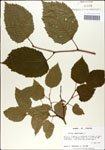 000047813-thumbnail.jpg