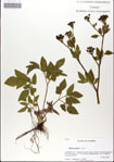 000048820-thumbnail.jpg