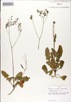 000049635-thumbnail.jpg