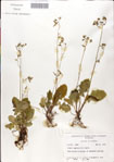 000049640-thumbnail.jpg