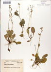 000049646-thumbnail.jpg