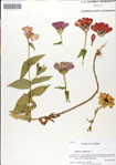 000049647-thumbnail.jpg