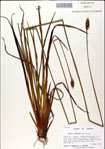 000049740-thumbnail.jpg
