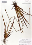 000049741-thumbnail.jpg