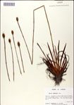 000049742-thumbnail.jpg