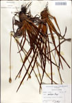 000049745-thumbnail.jpg