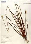 000049746-thumbnail.jpg