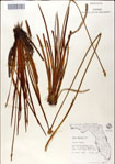 000049748-thumbnail.jpg