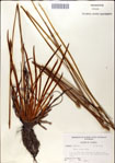 000049750-thumbnail.jpg