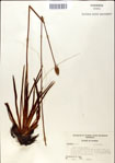 000049753-thumbnail.jpg