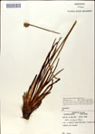000049754-thumbnail.jpg