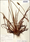 000049755-thumbnail.jpg