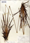 000049756-thumbnail.jpg
