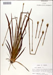 000049757-thumbnail.jpg