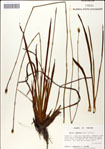 000049758-thumbnail.jpg