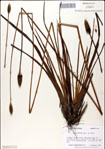 000049761-thumbnail.jpg