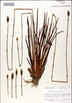 000049762-thumbnail.jpg