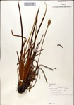 000049763-thumbnail.jpg