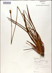 000049764-thumbnail.jpg