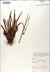 000049765-thumbnail.jpg