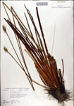 000049767-thumbnail.jpg