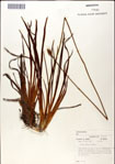 000049769-thumbnail.jpg