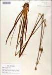 000049770-thumbnail.jpg