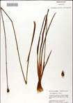 000049772-thumbnail.jpg
