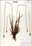 000049773-thumbnail.jpg