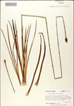 000049774-thumbnail.jpg