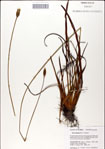 000049775-thumbnail.jpg
